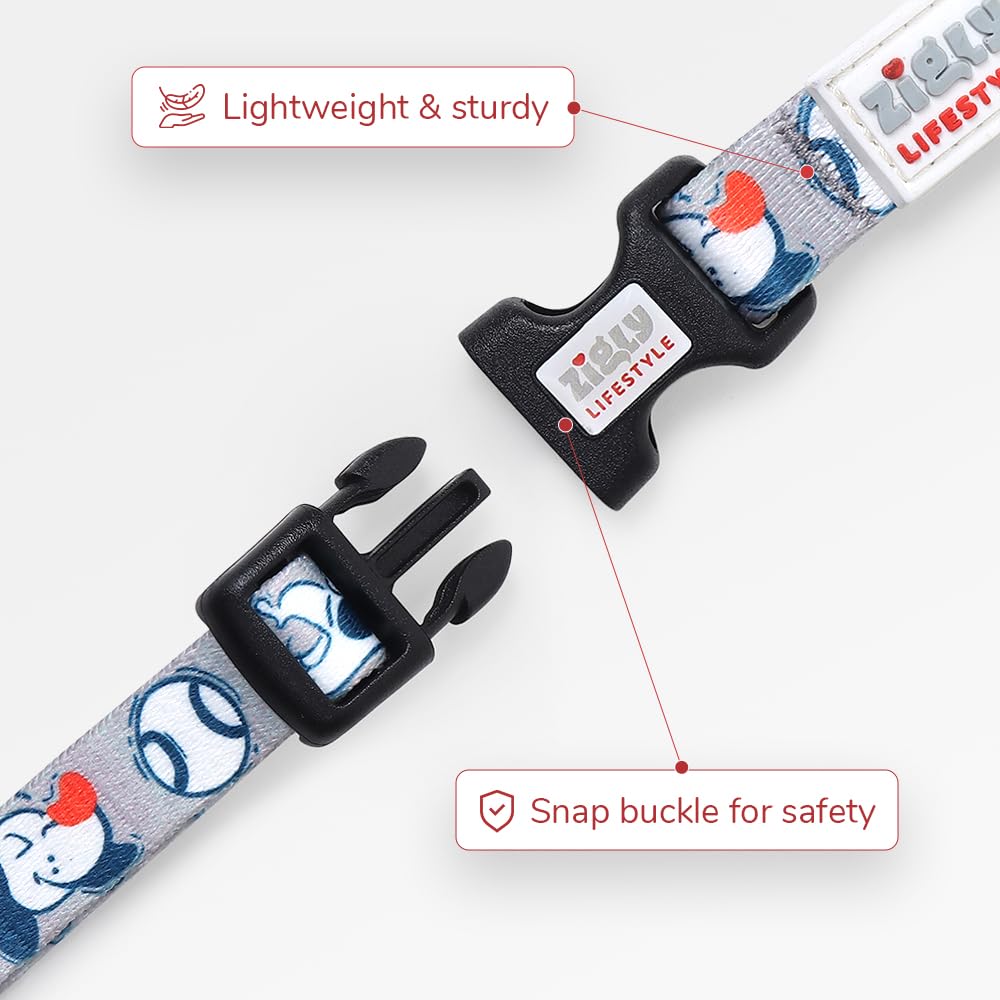 ZL Doodle Dog Collar & Leash Set - Grey