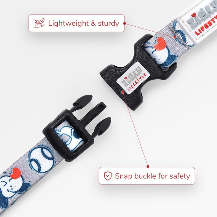 ZL Doodle Dog Collar & Leash Set - Grey