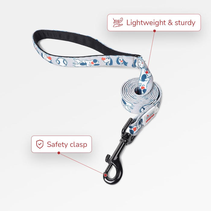 ZL Doodle Dog Collar & Leash Set - Grey