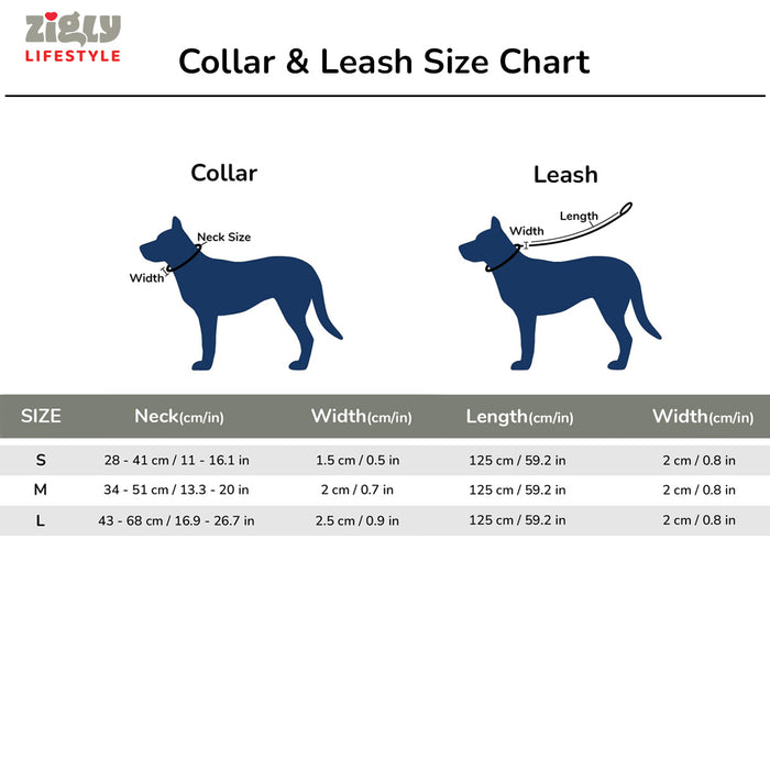 ZL Doodle Dog Collar & Leash Set - Grey