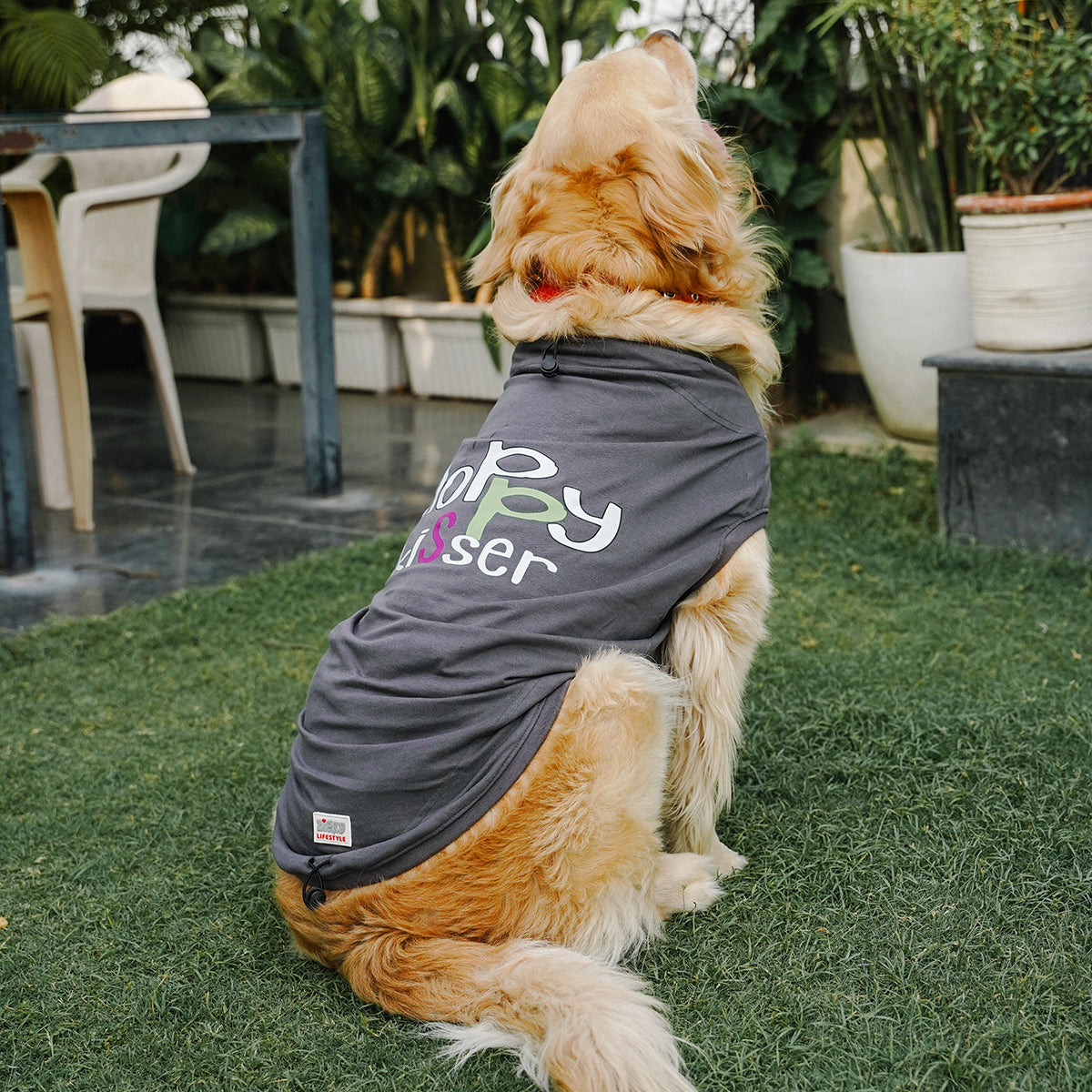 ZL Pet Sloppy Kisser Twin Dog T-Shirt