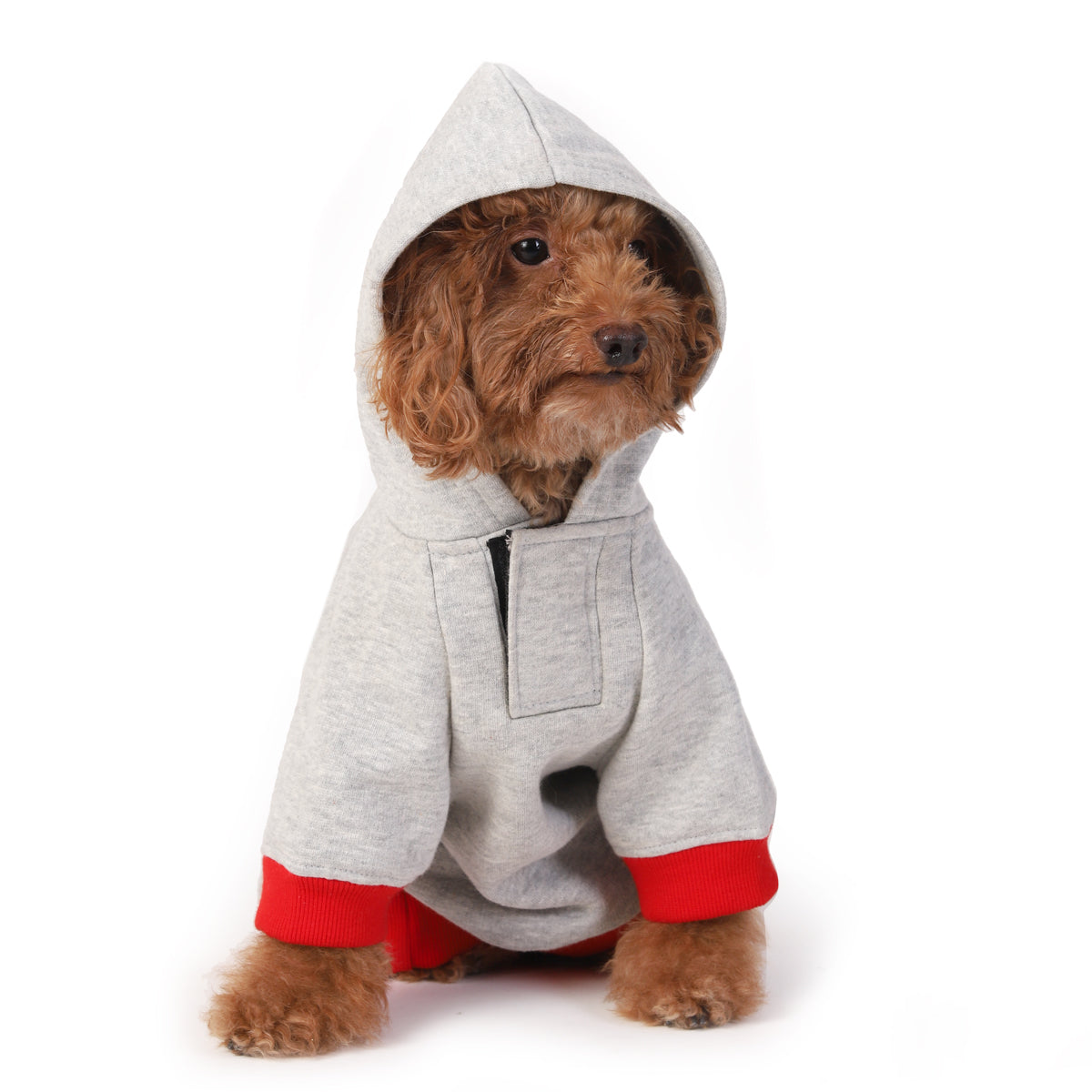 ZL Wagging With Open Heart Hoodie For Dogs