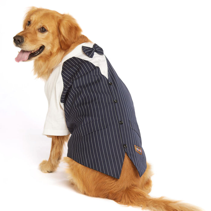 beboji Classy Gentelman Black Stripe Dog Shirt with Bow
