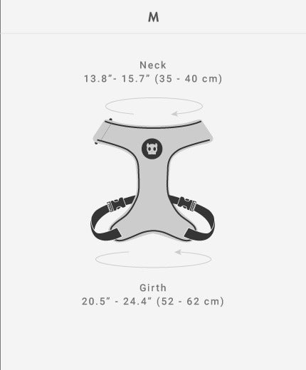 Zee Dog Nox Sidus Air Mesh Harness