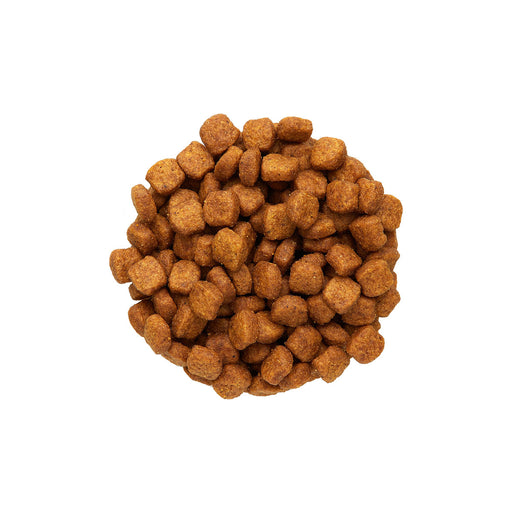 Royal Canin Poodle Adult Dry Dog Food - 1.5 Kg