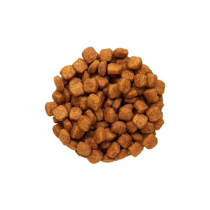 Royal Canin Poodle Adult Dry Dog Food - 1.5 Kg