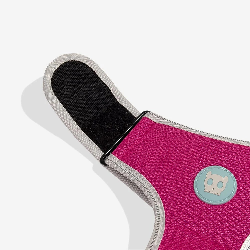 Zee Dog Nox Sidus Air Mesh Harness