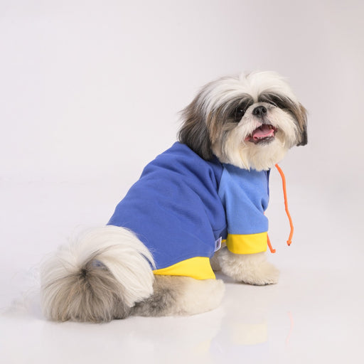 ZL Sandy Vibrant Warmer Hoodie for Dogs
