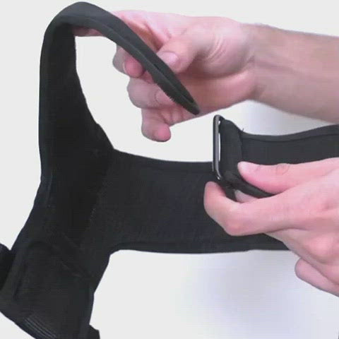 ZeeDog Adjustable Mesh Harness for Dogs - Gotham