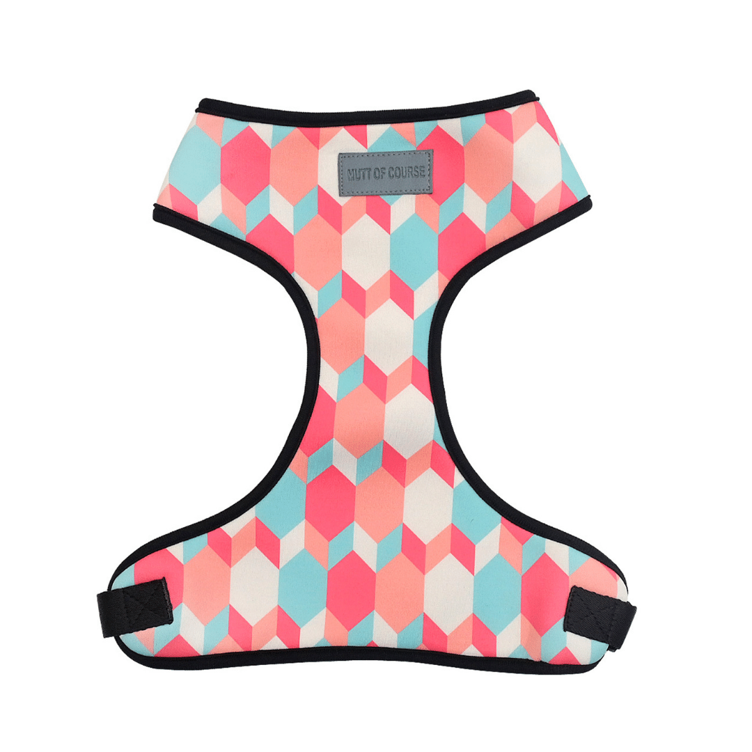 Mutt Of Course Chest Harness for Dogs - Candy Barr