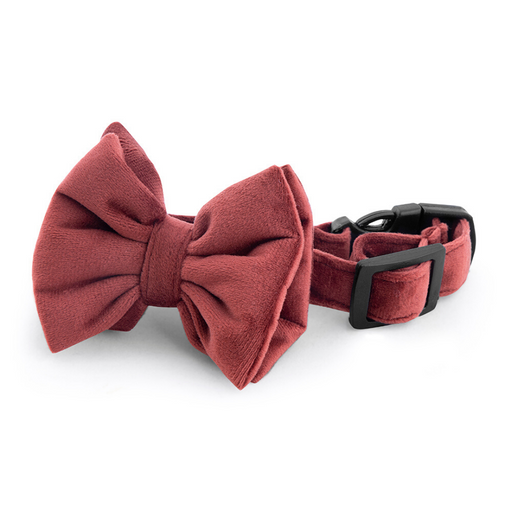 Petsy Amaya Dog Bow Tie & Strap - Rustic Orange