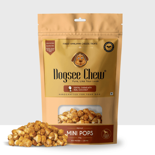Dogsee Chew Mini bite-sized Dog Training Treats - Coconut Mini Pops