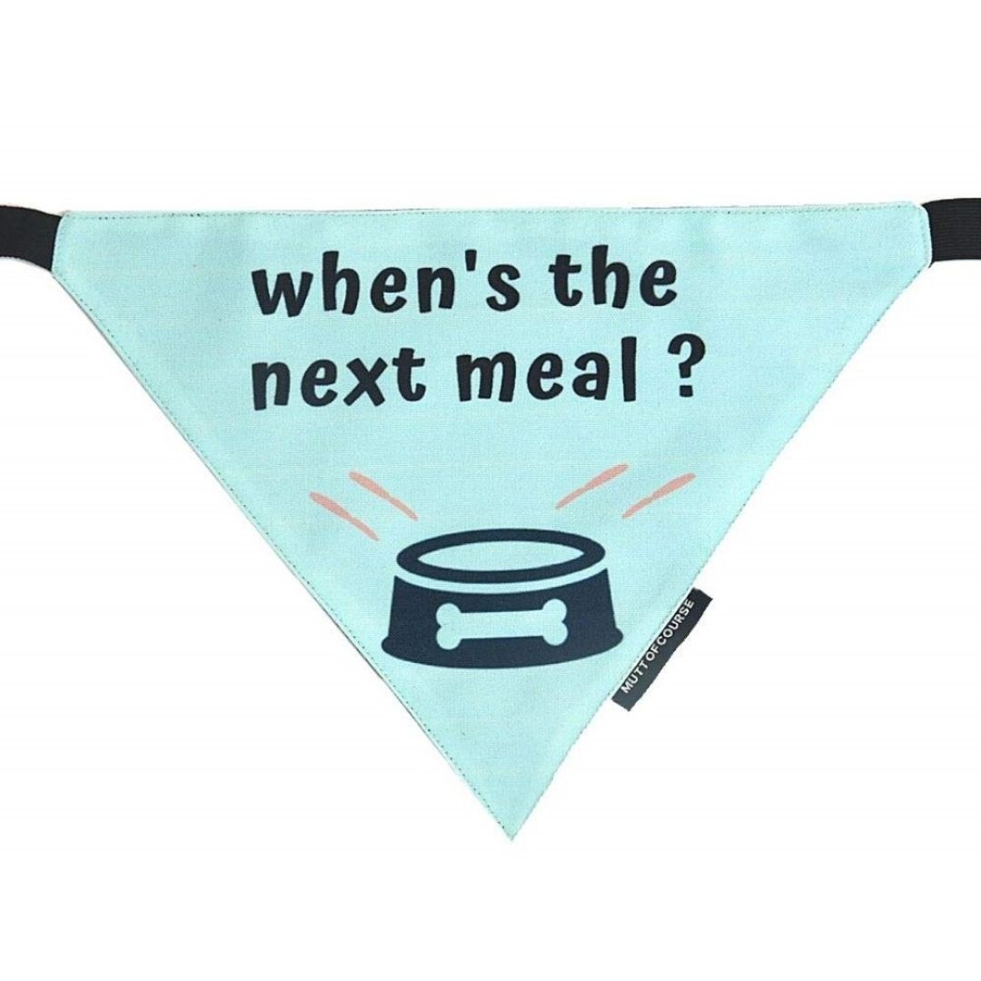 Mutt Of Course Dog Bandana - When's the Next Meal