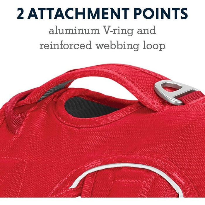 Ruffwear Harness for Dogs - Web Master