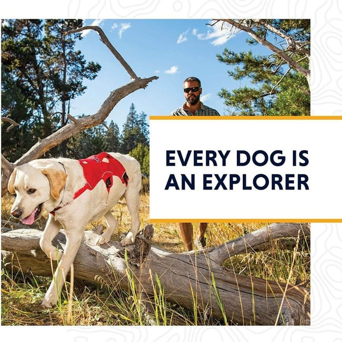 Ruffwear Harness for Dogs - Web Master