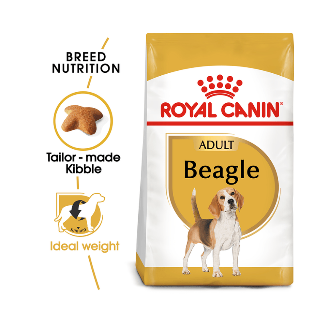 Royal Canin Beagle Adult Dry Dog Food