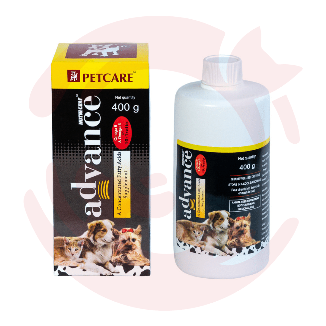 Petcare Supplement for Cats & Dogs - Nutricoat Advance