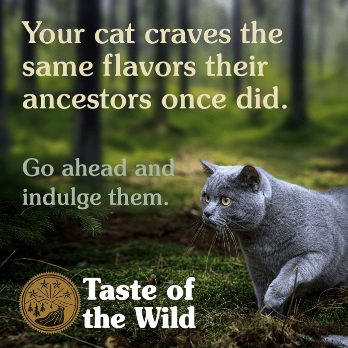 Taste of the Wild Cat Food for Kittens & Adults - Lowland Creek with Quail and Roasted Duck