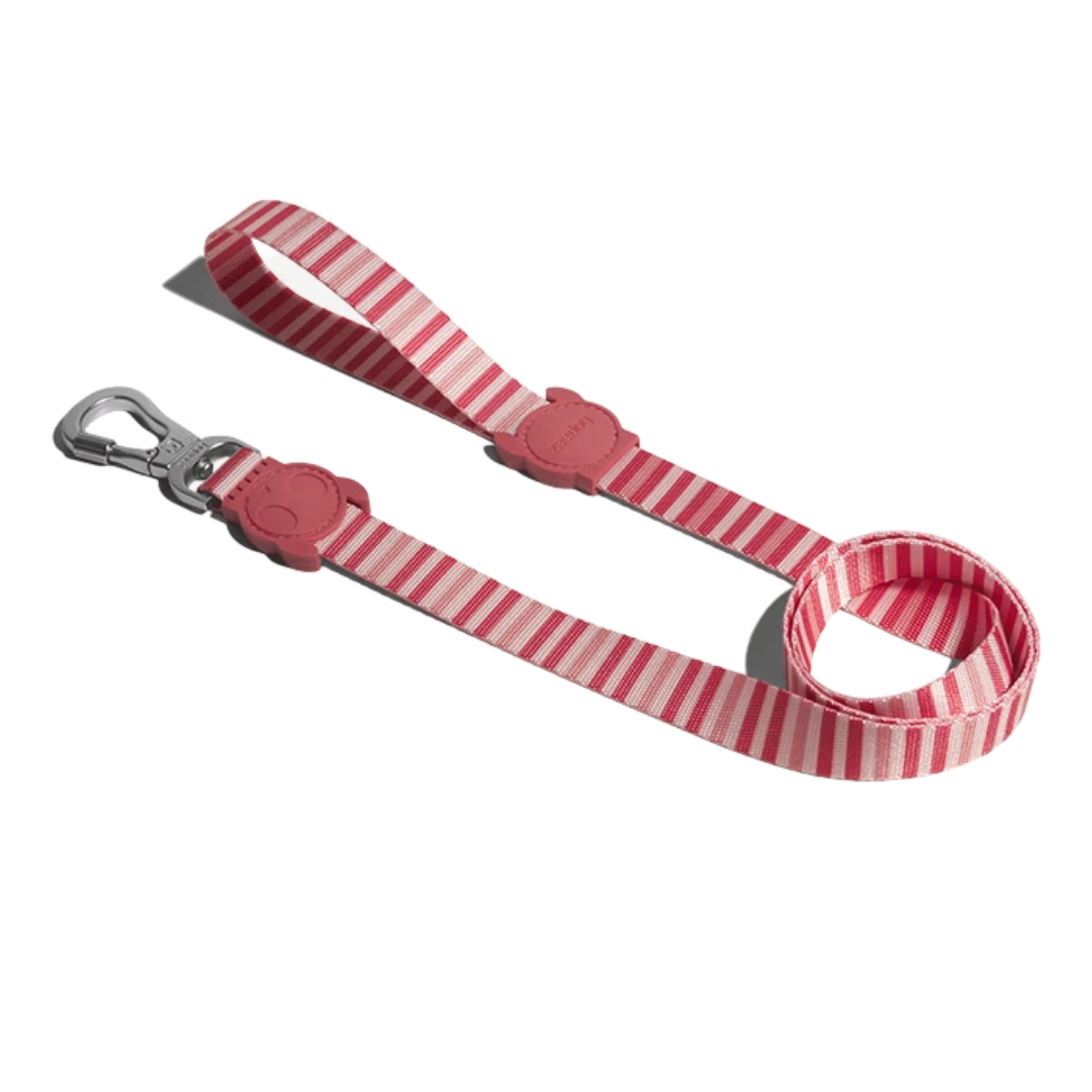 ZeeDog Dog Leash - Peppermint (S)