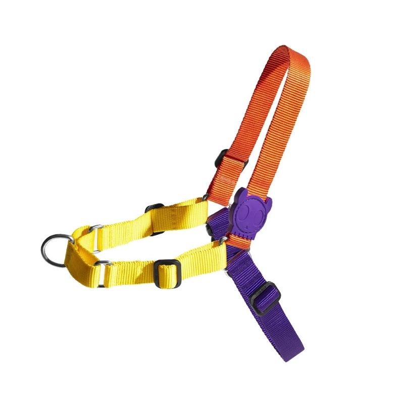 ZeeDog Soft-Walk Harness for Dogs - Pump