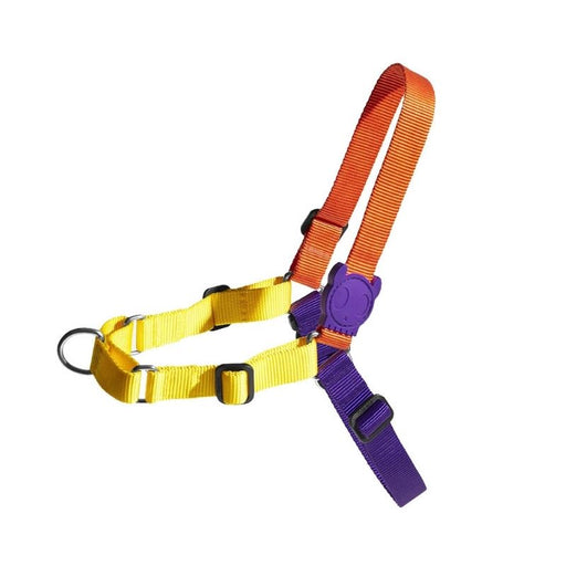 ZeeDog Soft-Walk Harness for Dogs - Pump