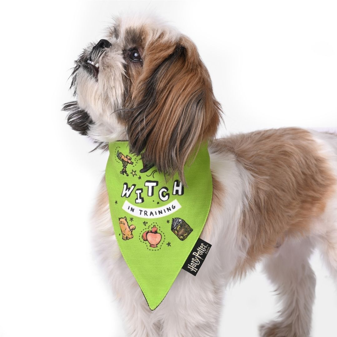 Harry Potter Dog Bandana - Woofy Witch