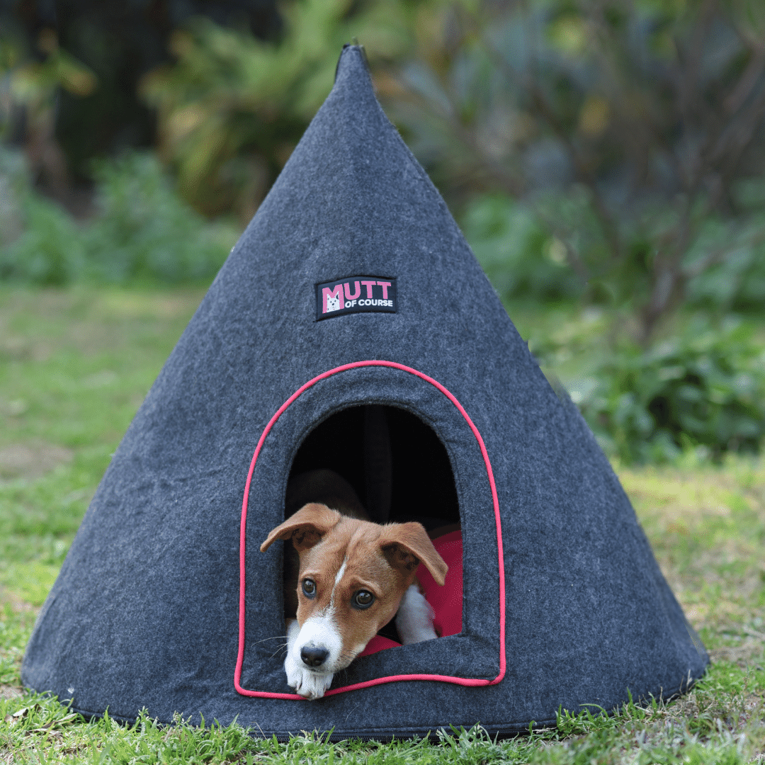 Mutt Of Course Coney Chiwa Bed for Puppies, Cats and medium-sized Dogs - Grey & Pink