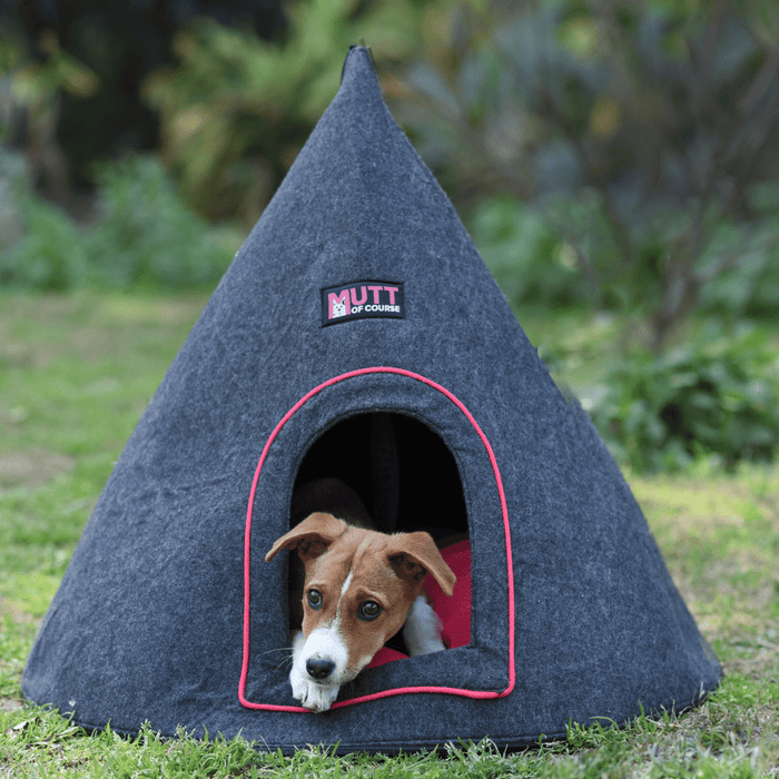 Mutt Of Course Coney Chiwa Bed for Puppies, Cats and medium-sized Dogs - Grey & Pink