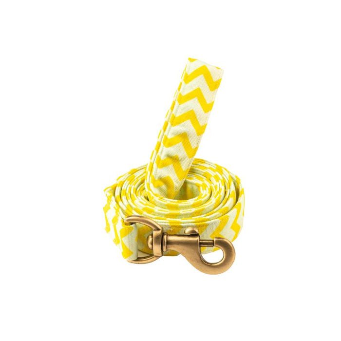 Furbuddies Leash For Dogs - Citrus Chevron Canvas Leash (5ft)