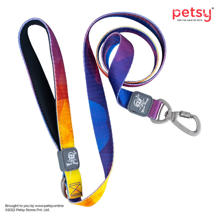 Barkbutler x Whoof Whoof Premium Printed Leash for Dogs - Northern Light (Large)