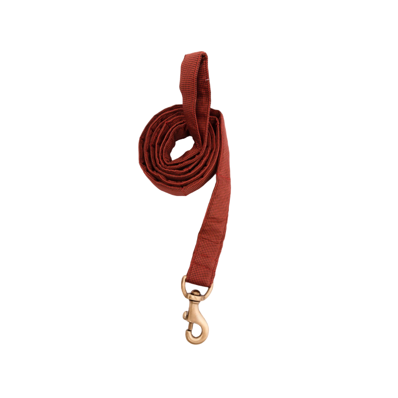 Furbuddies Leash For Dogs - Brick Orange Canvas