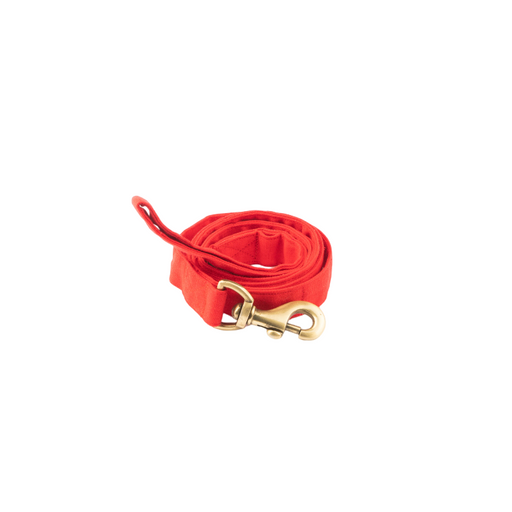 Furbuddies Leash For Dogs - Candy Apple Red Canvas (5ft)