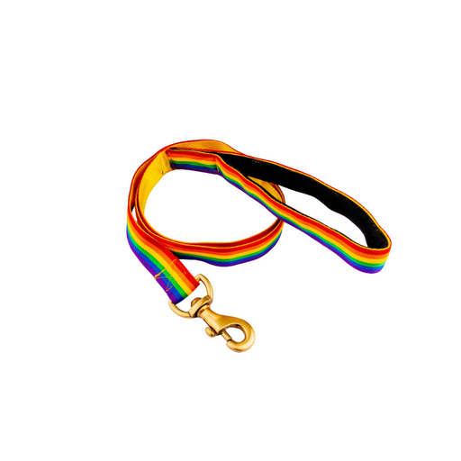 Furbuddies Soft Padded Leash For Dogs - Dhanak (4ft)