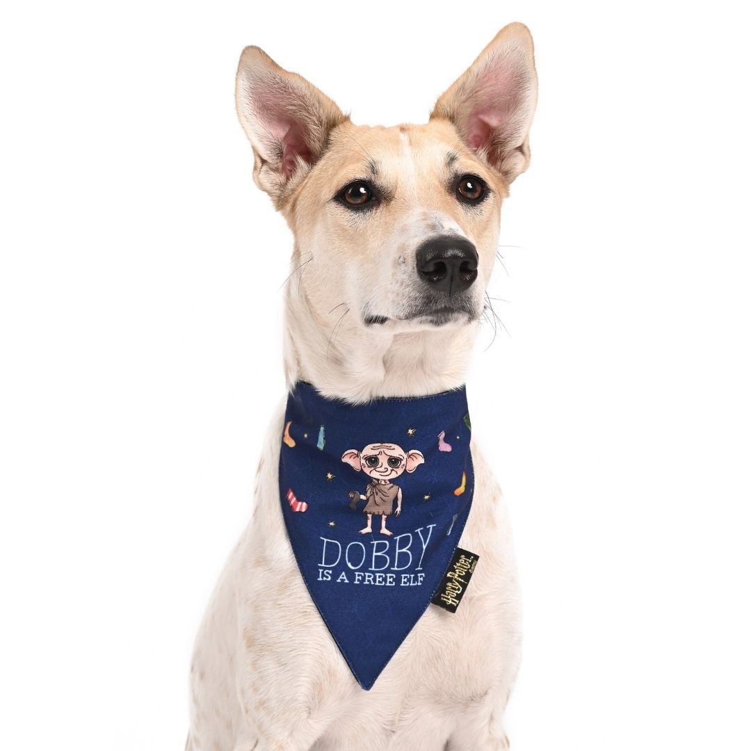 Harry Potter Dog Bandana - Doggy Dobby