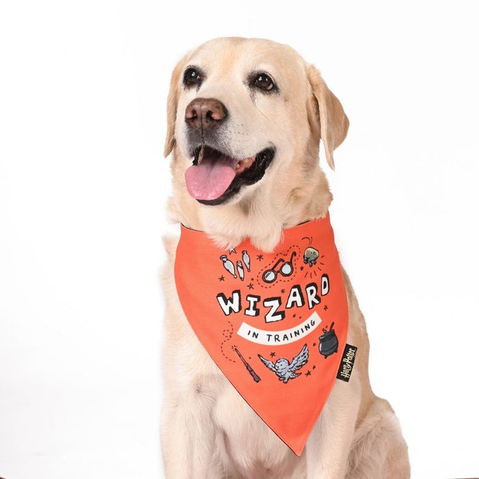 Harry Potter Dog Bandana - Woofy Wizard