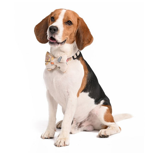 Harry Potter Dog Bow Tie - Every Flavour Beans