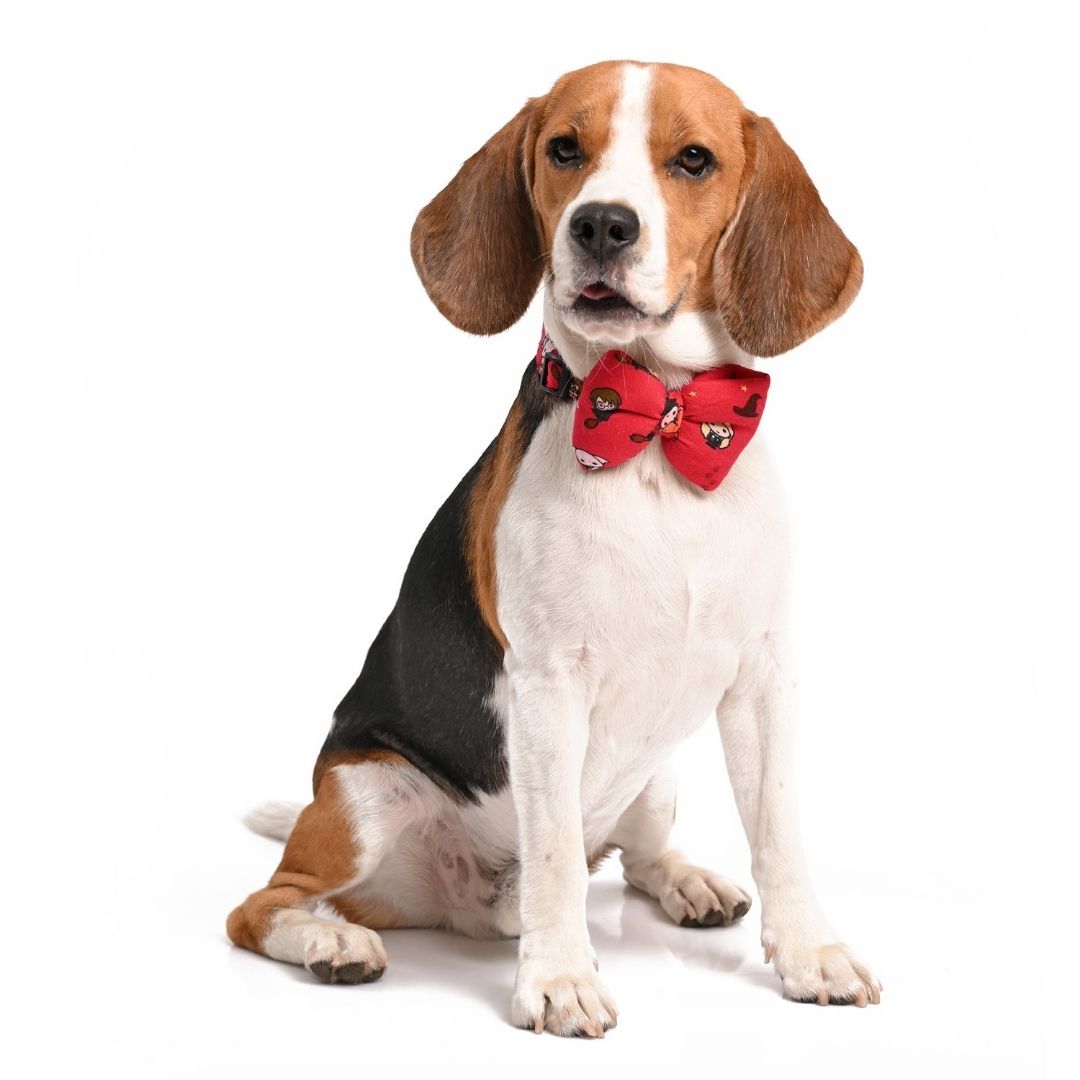 Harry Potter Dog Bow Tie - Friends of Harry Potter