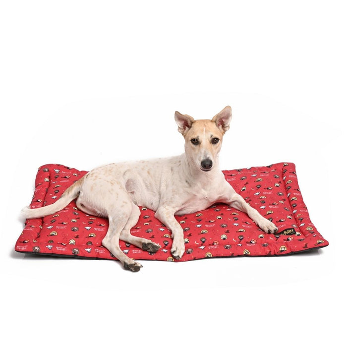 Harry Potter Mat for Cats & Dogs - Friends of Harry Potter Mat
