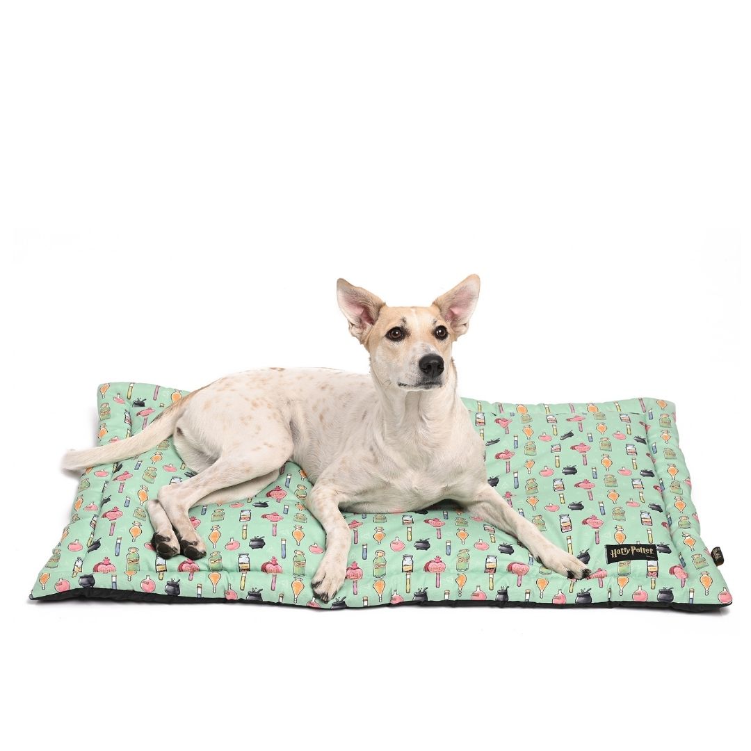 Harry Potter Mat for Cats & Dogs - Potions in Motions Mat