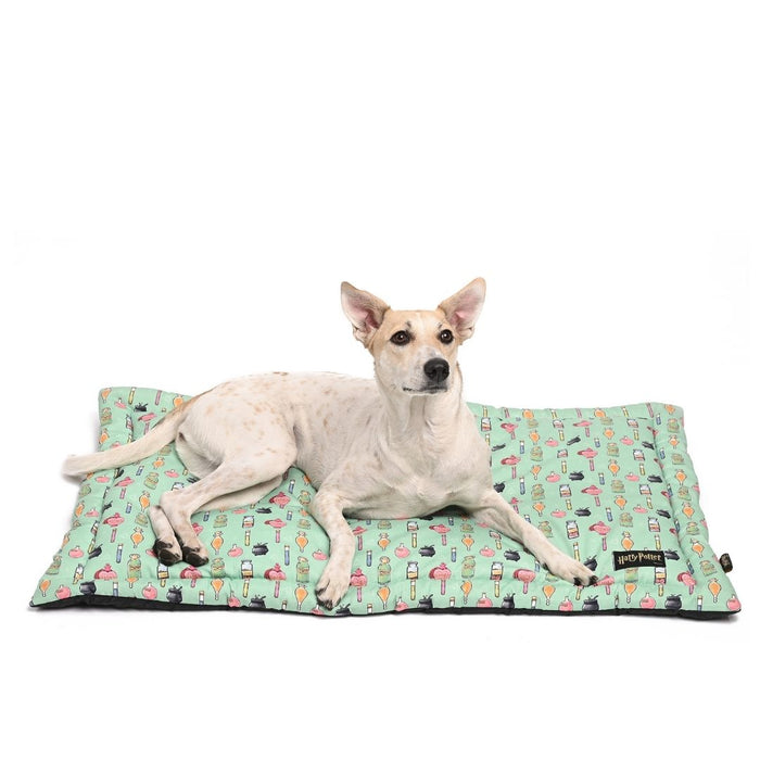 Harry Potter Mat for Cats & Dogs - Potions in Motions Mat