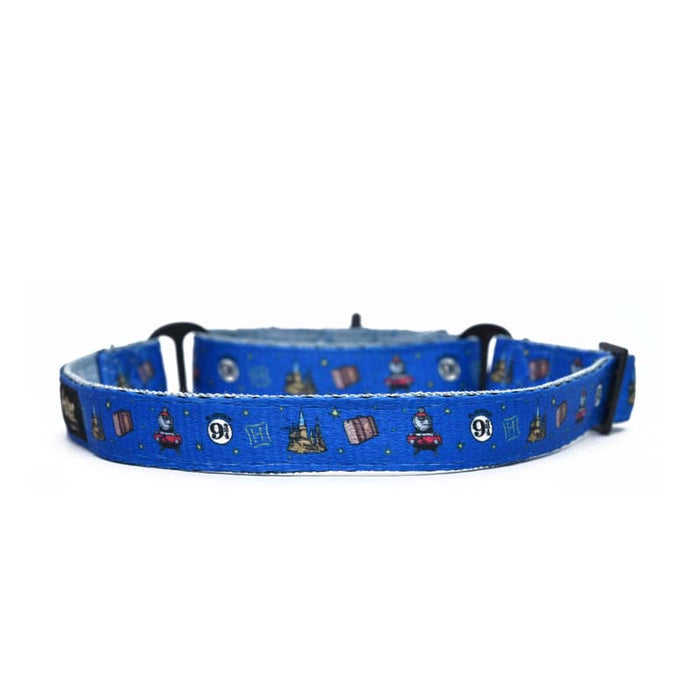 Harry Potter Martingale Collar - Welcome to Hogwarts Martingale Dog Collar