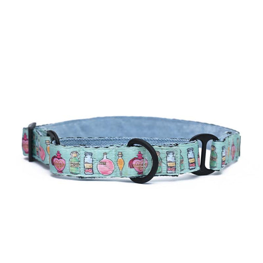 Harry Potter Martingale Collar - Potions in Motions Martingale Dog Collar