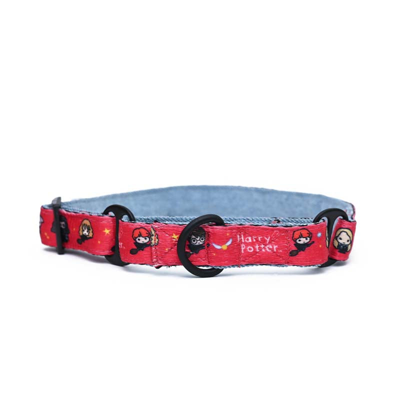 Harry Potter Martingale Collar - Friends of Harry Potter Dog Martingale Collar