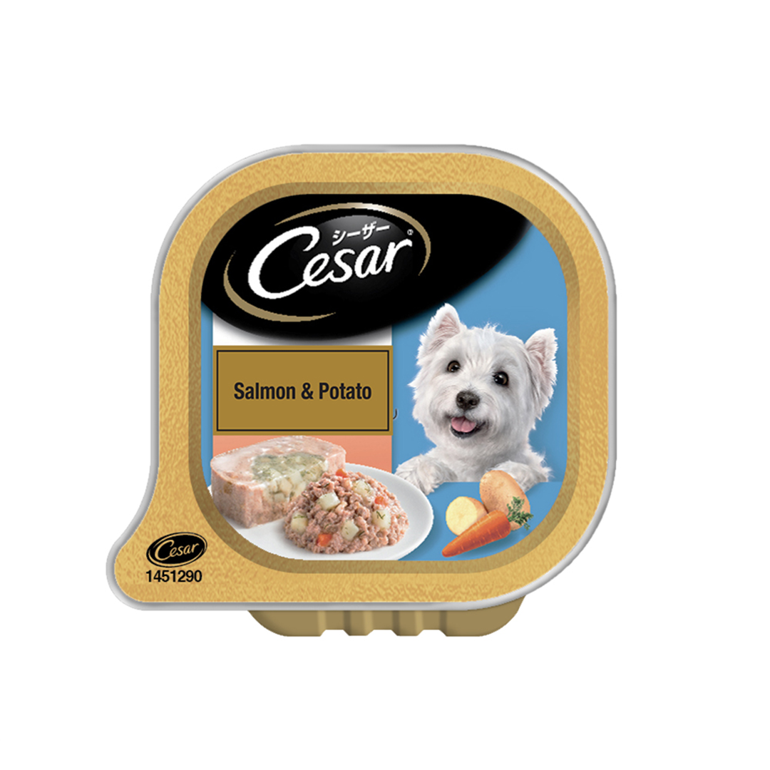 Cesar Salmon & Potato Flavour Tray Adult Wet Dog Food - 100g
