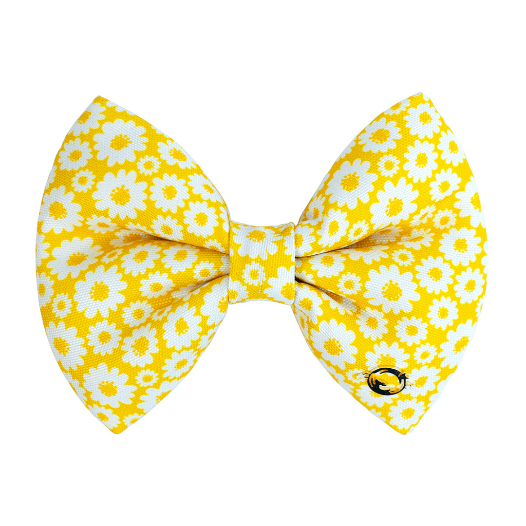 Petsy Bow for Cats and Dogs - Sunny Side Up