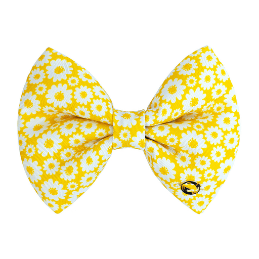 Petsy Bow for Cats and Dogs - Sunny Side Up
