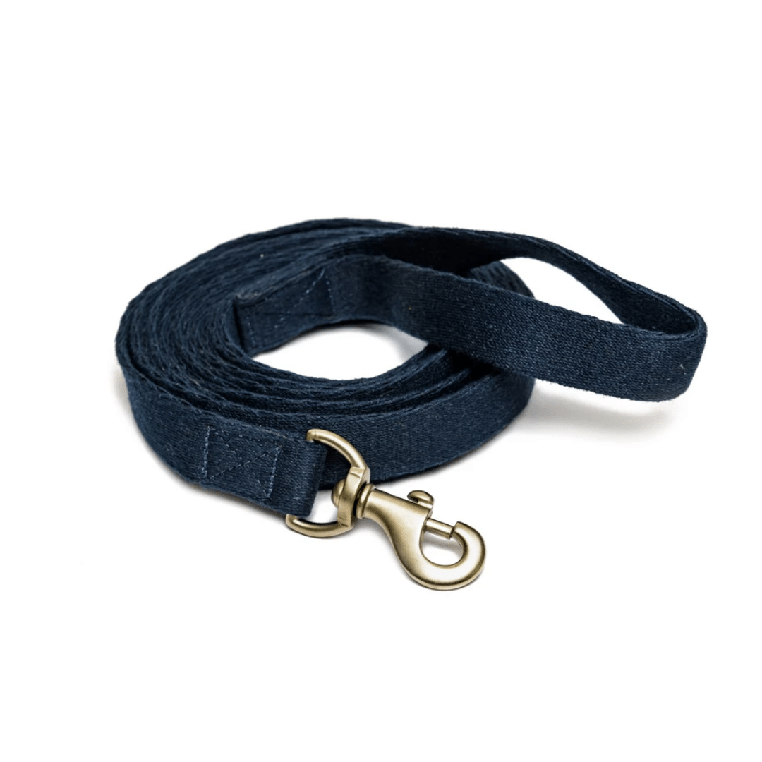 PetWale Long Lead Cotton Blue