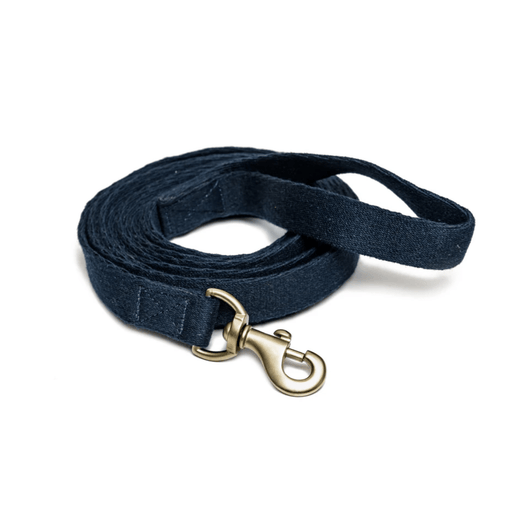PetWale Long Lead Cotton Blue