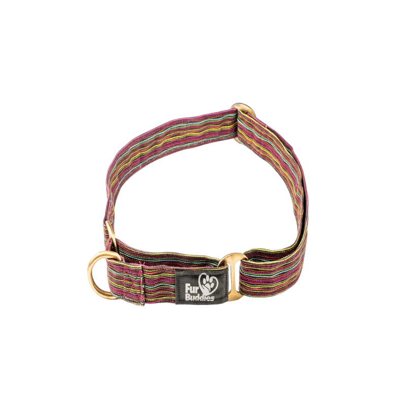 Furbuddies Martingale Collar For Dogs - Wiggle Waggle Canvas