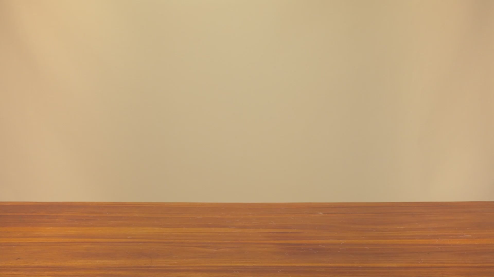 Barkbutler x True Love Harnesses for Dogs - Classic Strap Harness